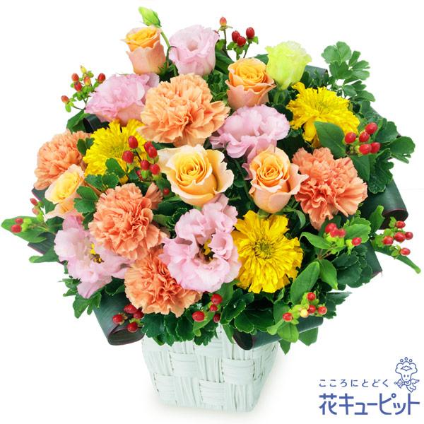 数量は多 開店祝い 開業祝い 開設 移転 引越 記念日 花 ギフト お祝い プレゼント 花キューピットのオレンジバラとトルコキキョウのアレンジメント 公式 Www Aqtsolutions Com
