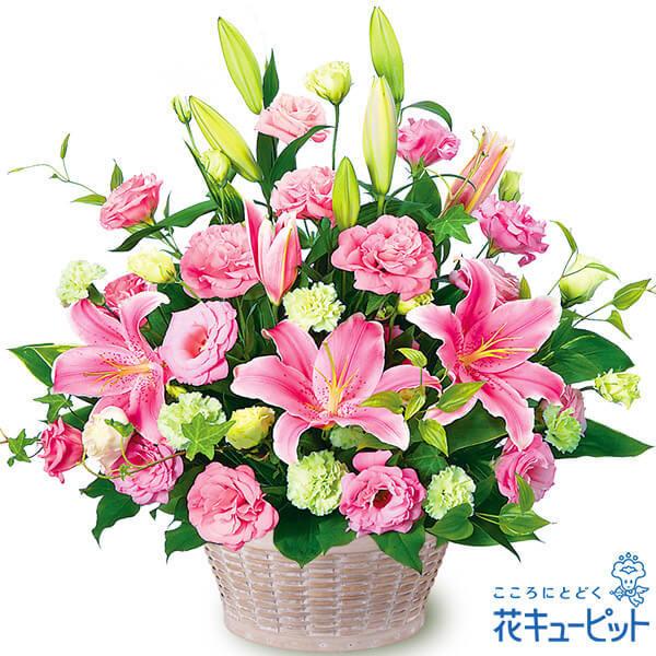 品質セール検査済 の新築引っ越し祝い 開店開業 新装改装改築 花 お祝い ギフト お祝い プレゼント 花キューピットのピンクユリとトルコキキョウのアレンジメント 花キューピットのピンクユリとトルコキキョウのアレンジメント インターネット花キューピット 通販