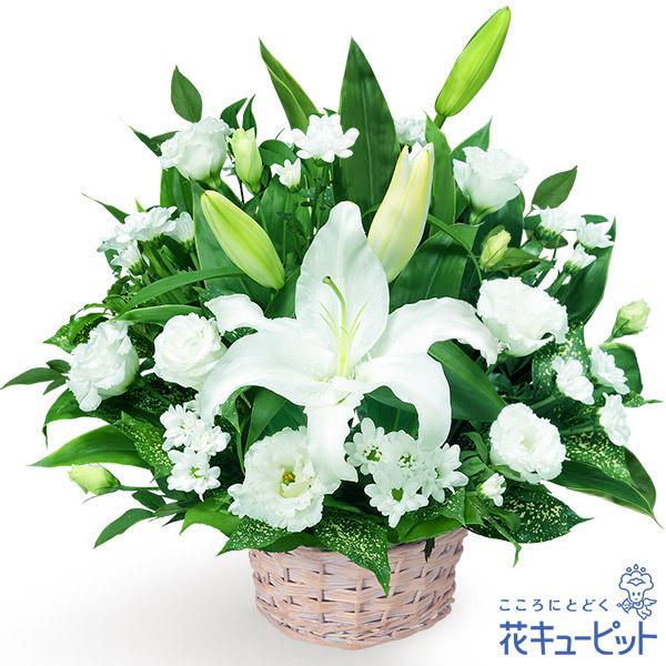 販売期間 限定のお得なタイムセール お供え お悔やみの献花 仏花 供花 法要 枕花 お盆 お彼岸 四十九日 生花 翌日 花 キューピットのお供えのアレンジメント