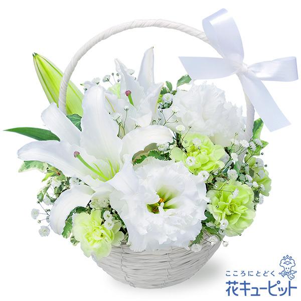 お供え お悔やみの献花 仏花 供花 法要 枕花 お盆 お彼岸 四十九日 生花 翌日 花キューピットのお供えのアレンジメント 新しい季節