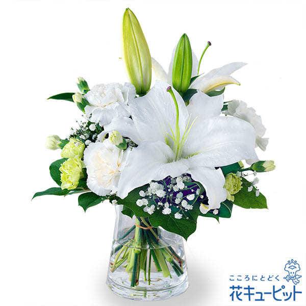 舗 お供え お悔やみの献花 仏花 供花 法要 枕花 お盆 お彼岸 四十九日 生花 翌日 花キューピットのお供えのグラスブーケ 花瓶付き 5 500円 Aynaelda Com