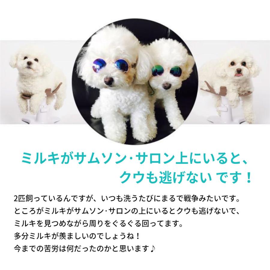 シニア犬に大人気 サムソンサロン Samson Salon 犬 猫 ドッグフード 美容院 動物病院 ペット フード 両手が自由に Samson Salon 合同会社irie Llc 通販 Yahoo ショッピング
