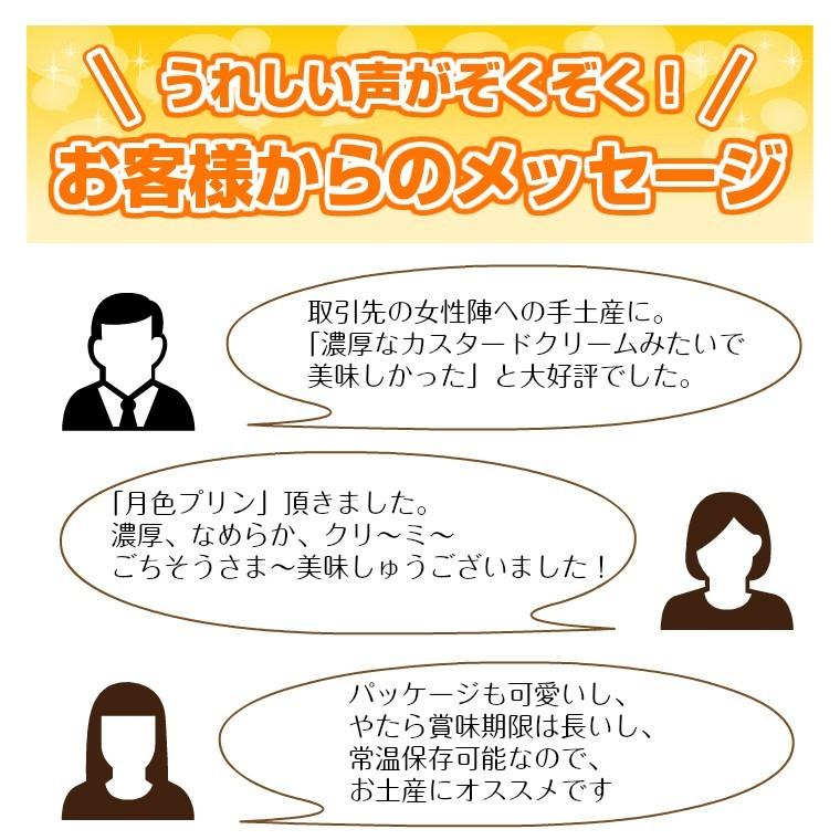 【ポイント5倍】 プリン 月色プリン プレーン＆会津山塩6個セット 送料無料 ギフト 贈答 常温 スイーツ 長持ち 日持ち 瓶 固め ふくしまプライド |  | 08