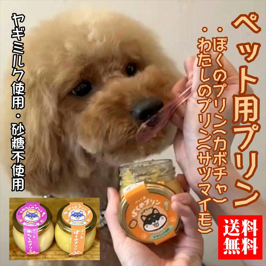 犬用 おやつ 誕生日】常温 犬用プリン 6個セット カボチャ サツマイモ