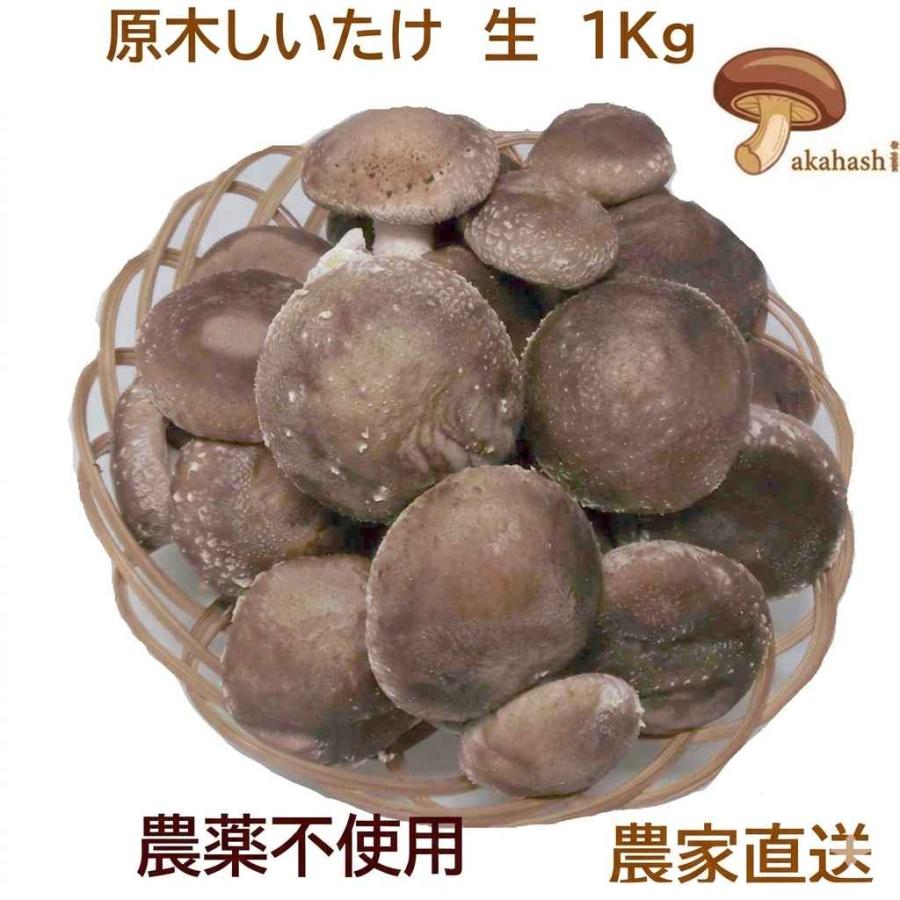 原木しいたけ・生・1kg ご家庭用、贈答用 厚肉 農薬不使用 70年以上の