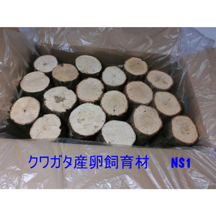 NS1box  オオクワガタ 産卵木 コナラ細・箱入り（18~24本） 農薬不使用 国産原木 長さ約14ｃｍ、太さ約6~9ｃｍ【約10年ぶりの販売再開！】【農家直送】朽ち木 | 