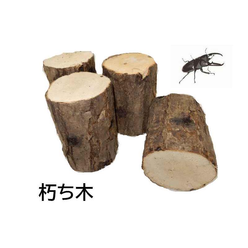 NS1box  オオクワガタ 産卵木 コナラ細・箱入り（18~24本） 農薬不使用 国産原木 長さ約14ｃｍ、太さ約6~9ｃｍ【約10年ぶりの販売再開！】【農家直送】朽ち木 |  | 01