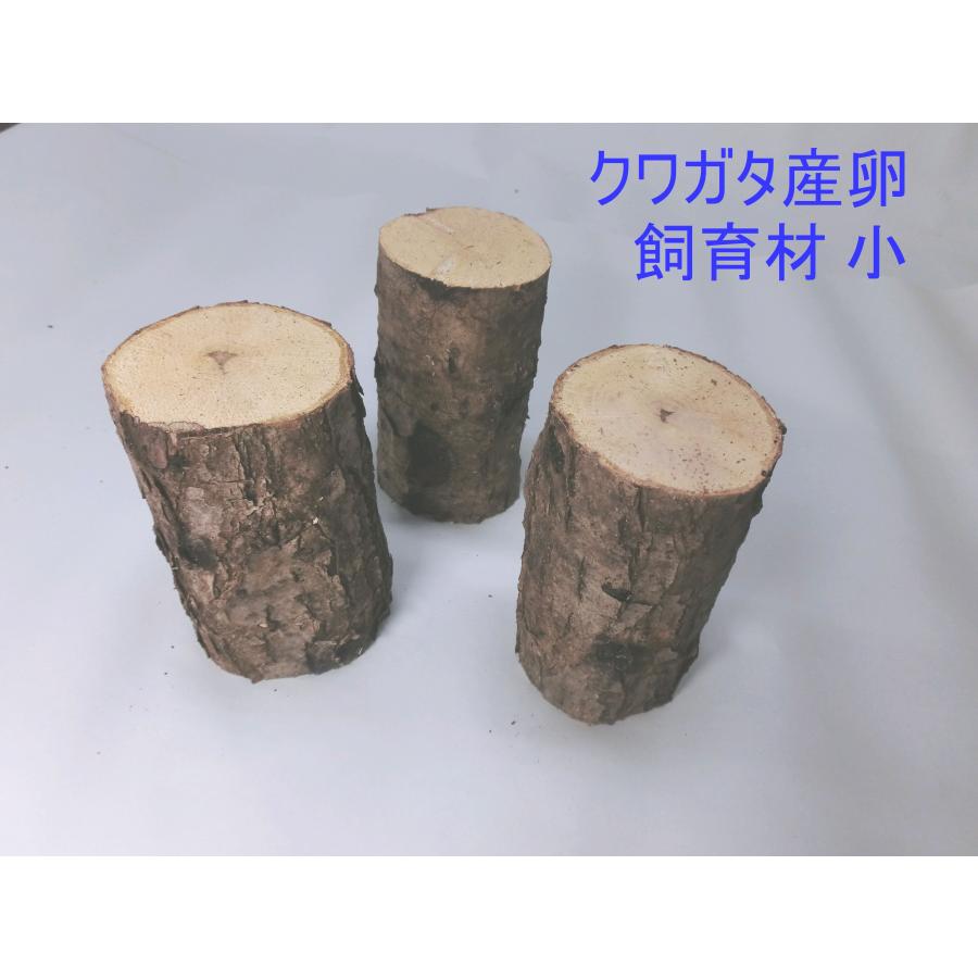 NS1box  オオクワガタ 産卵木 コナラ細・箱入り（18~24本） 農薬不使用 国産原木 長さ約14ｃｍ、太さ約6~9ｃｍ【約10年ぶりの販売再開！】【農家直送】朽ち木 |  | 03