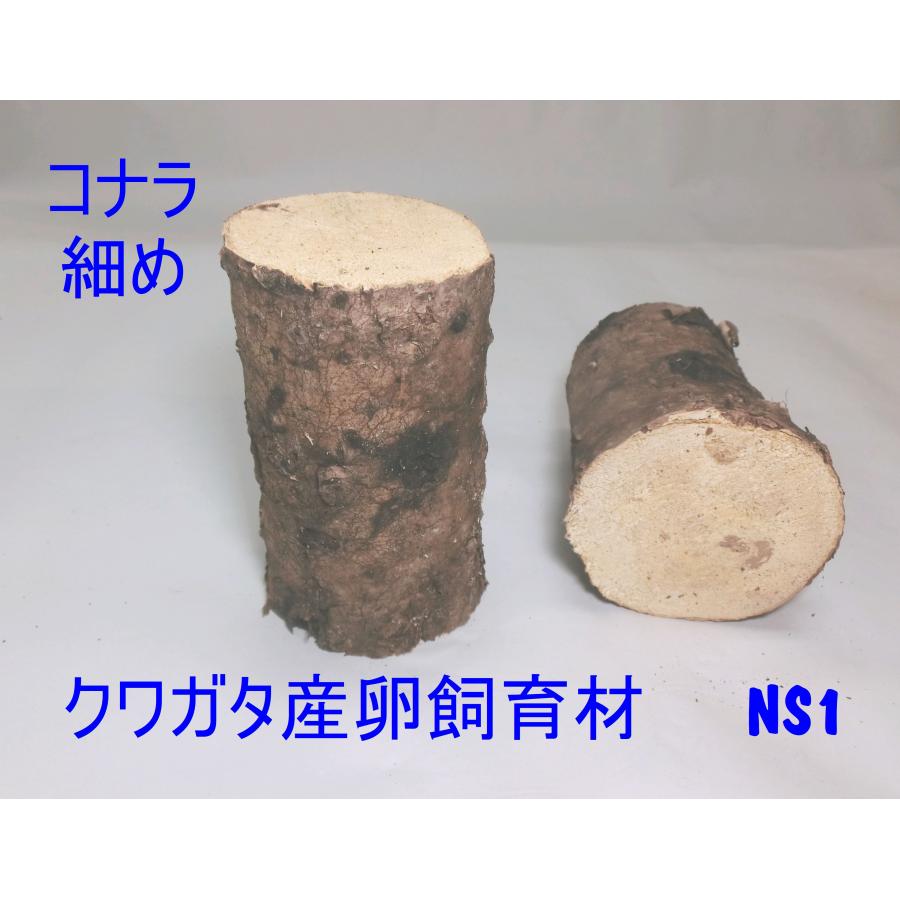 NS1box  オオクワガタ 産卵木 コナラ細・箱入り（18~24本） 農薬不使用 国産原木 長さ約14ｃｍ、太さ約6~9ｃｍ【約10年ぶりの販売再開！】【農家直送】朽ち木 |  | 04
