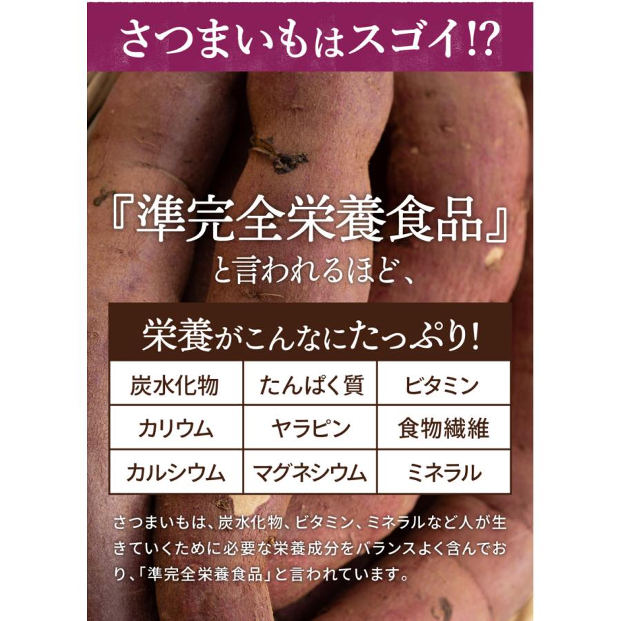 干し芋 ほしいも 父の日 さつまいもスイーツ 国産 送料無料 茨城 紅はるか スイーツ ギフト お取り寄せ 無添加 高級 和菓子 180g 2袋 贈り物 プレゼント 標準品｜ibarkinohoshi｜07