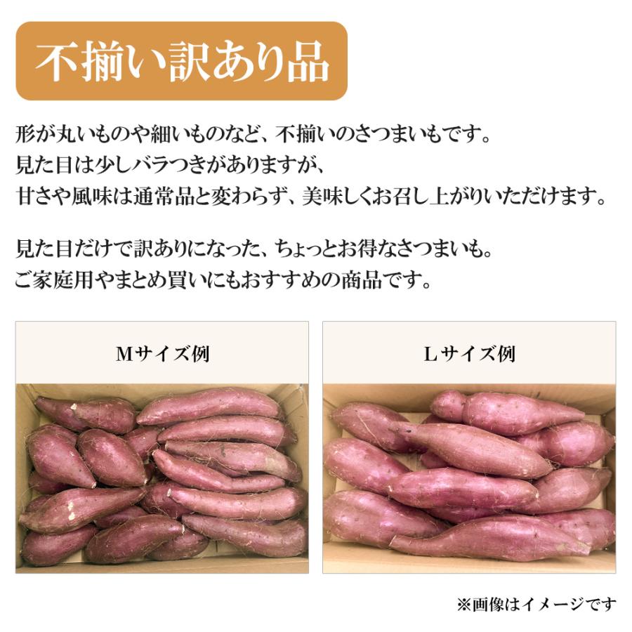 塚田商店 ＼期間限定／訳あり 井上さつま シルクスイート 5,000g