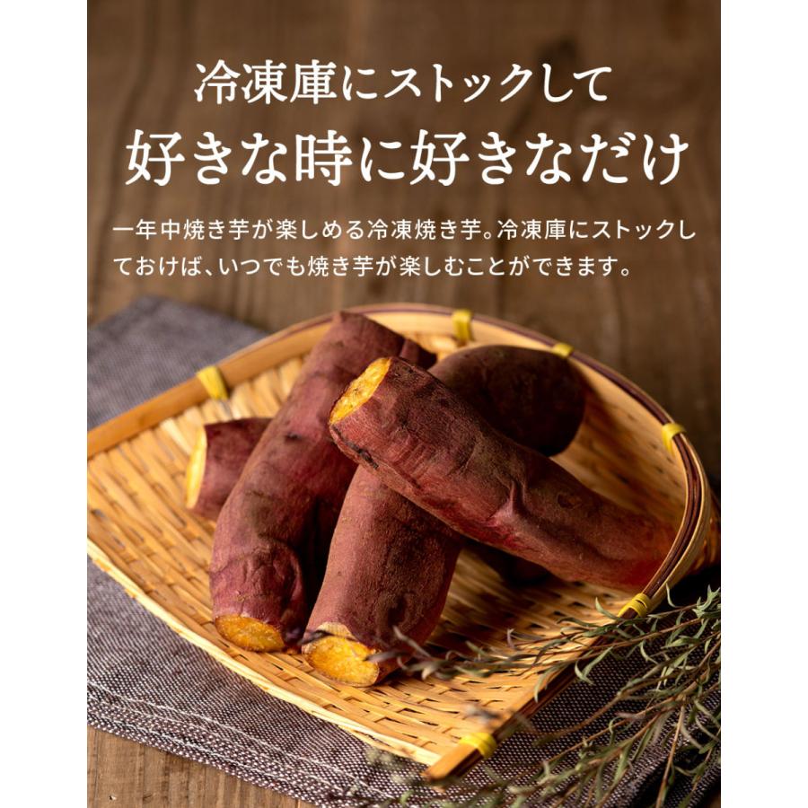 塚田商店 【土日祝出荷】訳あり 焼き芋 500g 送料無料 茨城 紅はるか S