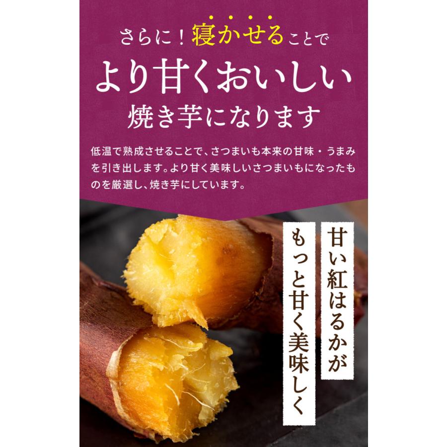 塚田商店 冷凍 訳あり 焼き芋 500g 送料無料 茨城 紅はるか Sサイズ