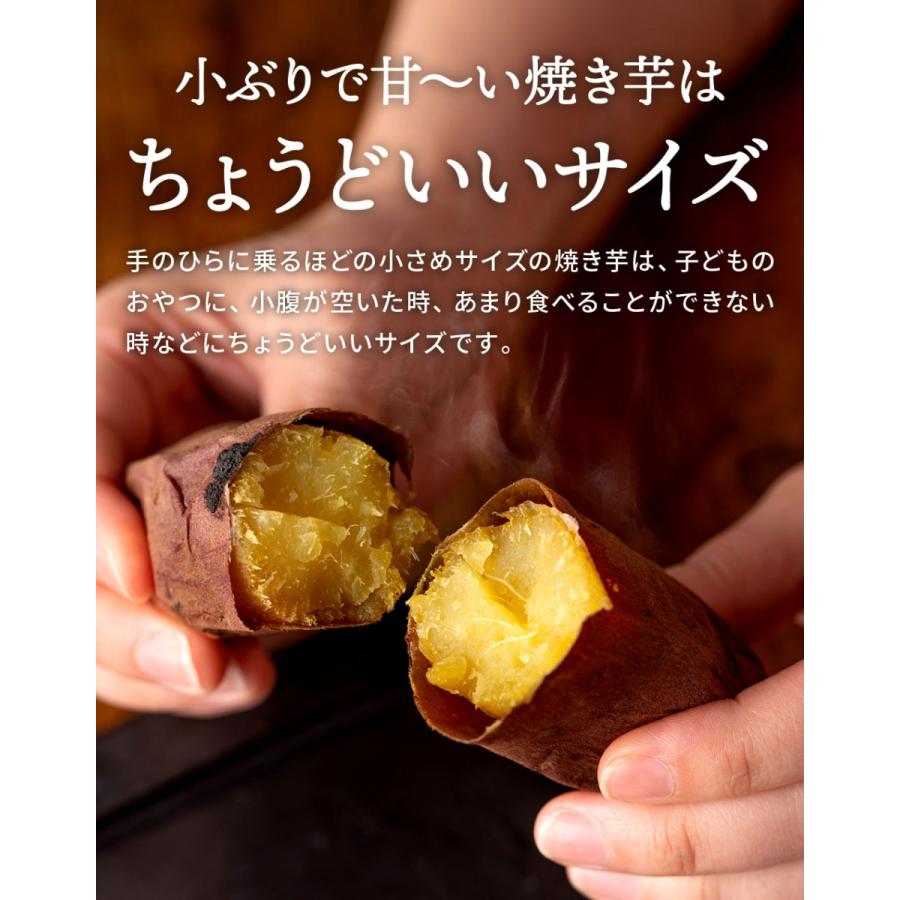 塚田商店 【土日祝出荷】訳あり 焼き芋 500g 送料無料 茨城 紅はるか S
