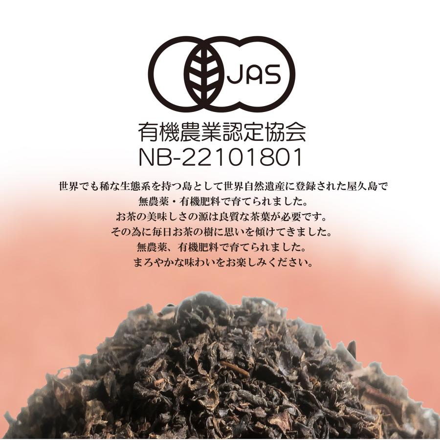 JAS認定 無農薬 屋久島産 やくてぃー (紅茶 茶葉 20袋)｜ibelieve｜04