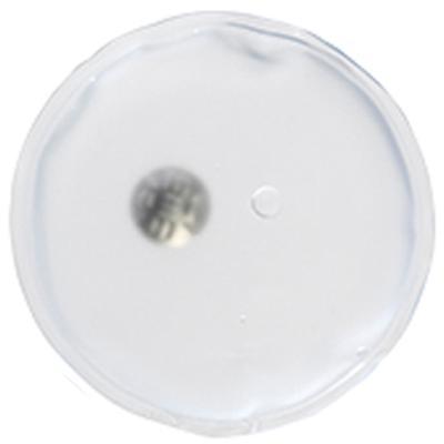 リサイクルエコカイロ クリア 120個以上販売 冬物グッズ カイロ 販促品