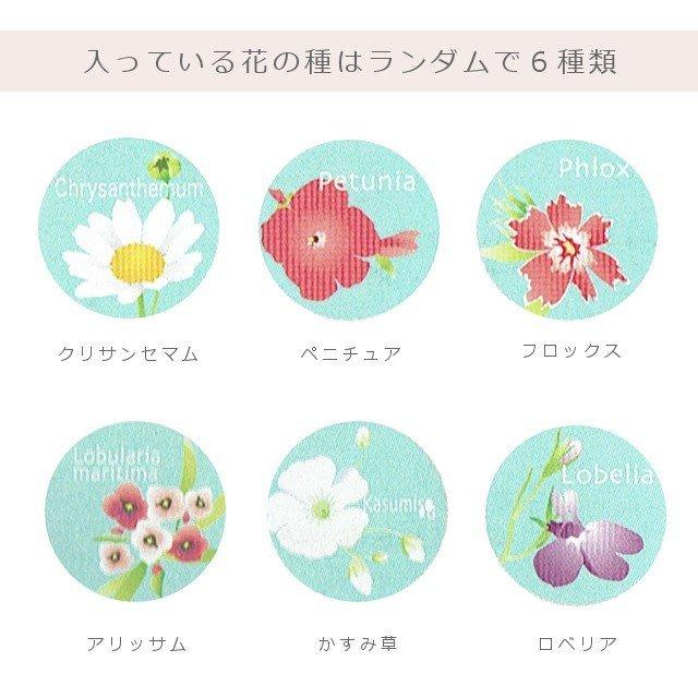 花の種 占いたまご Eg 24 24個以上販売 花の種 全6種類 日本製 幸せ育てる占いたまご Y539 21 393y10 イベント用品パラダイス 通販 Yahoo ショッピング