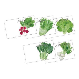 野菜の種 横型イラスト1個 野菜 100袋セット ノベルティ 野菜の種子 総付け景品 総付景品 Y539 21 412g5 100 イベント用品パラダイス 通販 Yahoo ショッピング