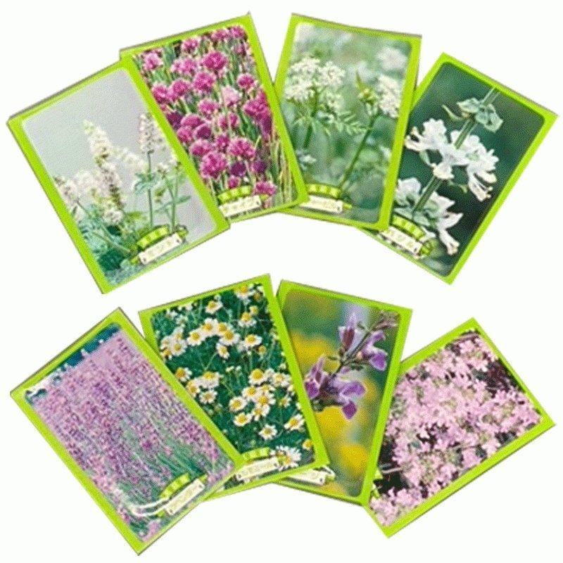 草本の種 1000袋 割り増し金 粗品 販促品 ノベルティ 身寄り家庭菜園 草本の内果皮 アソート 種、種子-花、ガーデニング-ハーブ