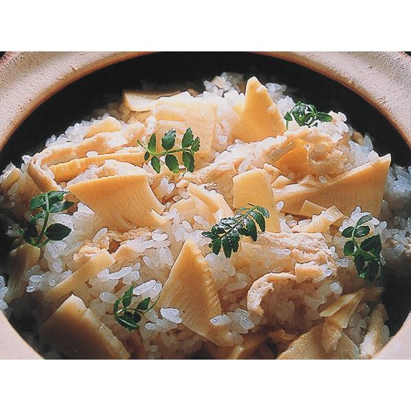 長谷園 かまどさん 1合炊き 伊賀焼 直火専用 ACT-02 一合炊き ご飯鍋