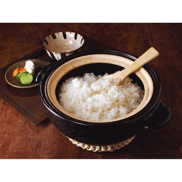 長谷園 かまどさん 5合炊き 伊賀焼 直火専用 ACT-50 五合炊き ご飯鍋