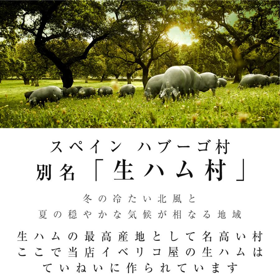 父の日 ギフト ハム 肉 ギフト イベリコ豚 生ハム セット おつまみ 4種 詰め合わせ 冷蔵｜iberico-ya｜11