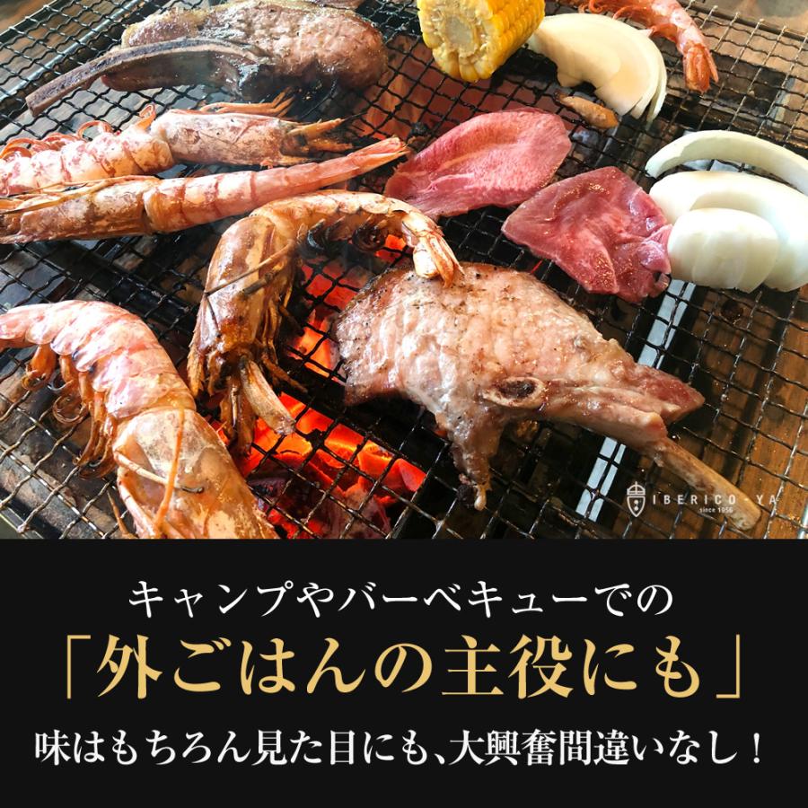 イベリコ豚 粗挽き 焼肉 ギフトソーセージ ソーセージ 150g 2p お取り寄せグルメ ベジョータ 誕生日プレゼントお歳暮 業務用 q バーベキュー