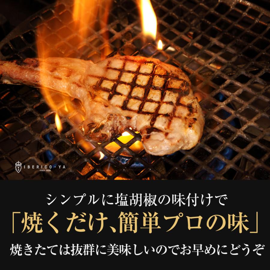 イベリコ豚 粗挽き 焼肉 ギフトソーセージ ソーセージ 150g 2p お取り寄せグルメ ベジョータ 誕生日プレゼントお歳暮 業務用 q バーベキュー
