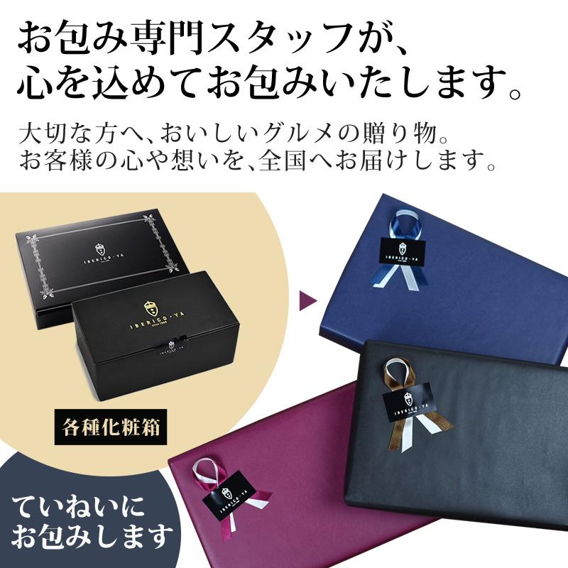 美品】DRIES VAN NOTEN ストライプ柄 ヒョウ柄 ガウンコート（ステン 