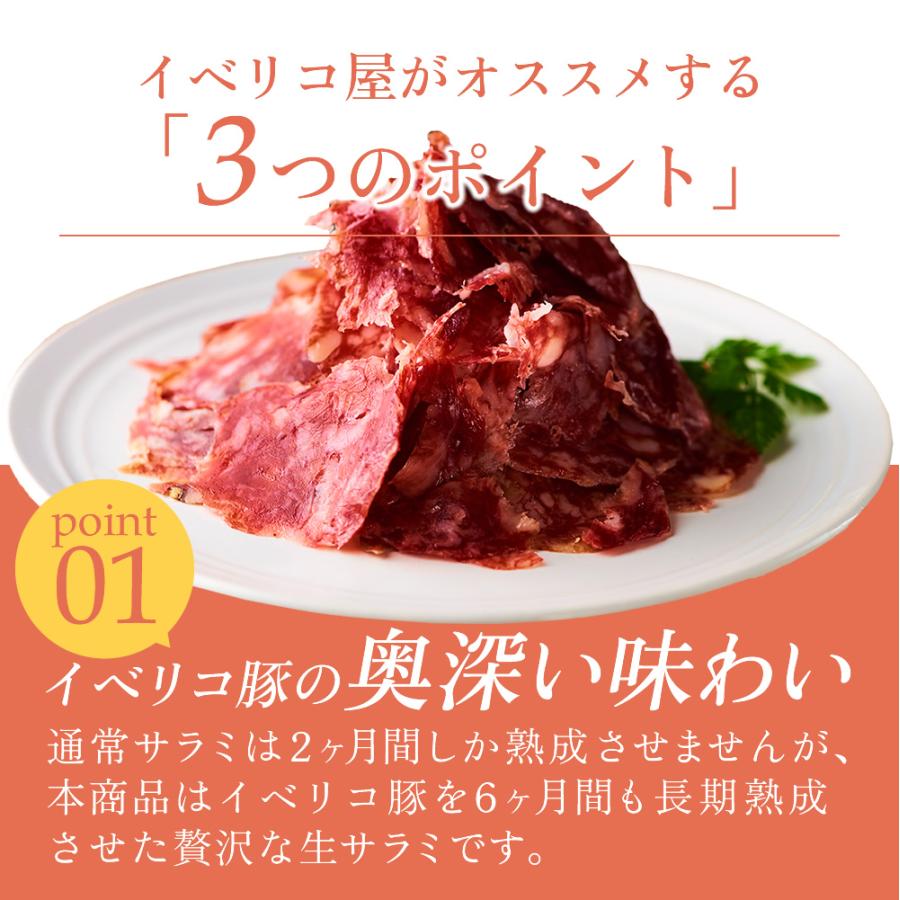 イベリコ豚 生サラミ 切り落とし 約50g おつまみ ご褒美 冷蔵 Salakiri イベリコ豚専門店 イベリコ屋 通販 Yahoo ショッピング