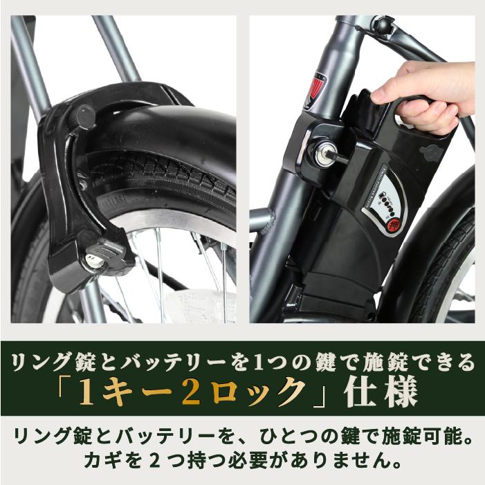 ローバー ROVER CHESTAR FDB206E 電動アシスト自転車 折りたたみ 20