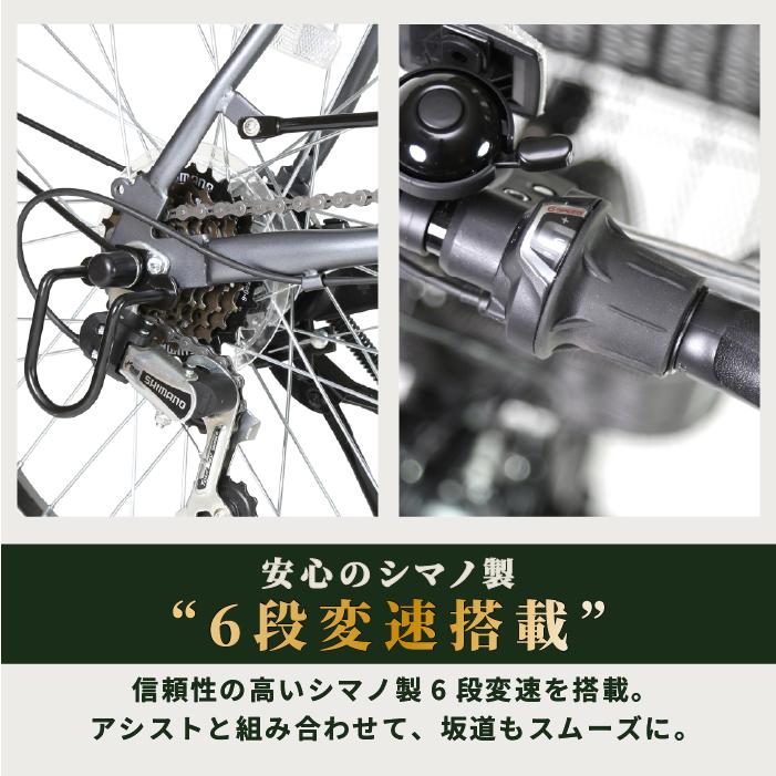 ローバー ROVER CHESTAR FDB206E 電動アシスト自転車 折りたたみ 20