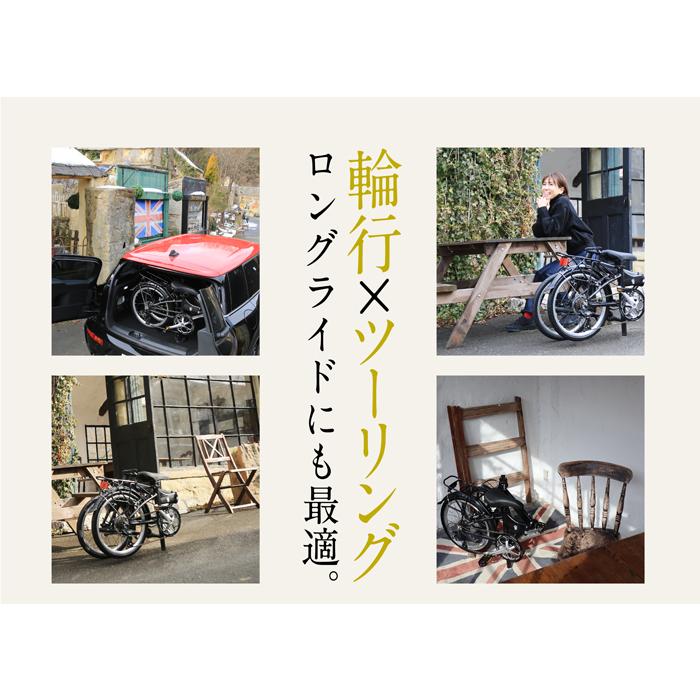 HARRY QUINN(ハリークイン) LONG BRIGHT 20インチ アルミフレーム