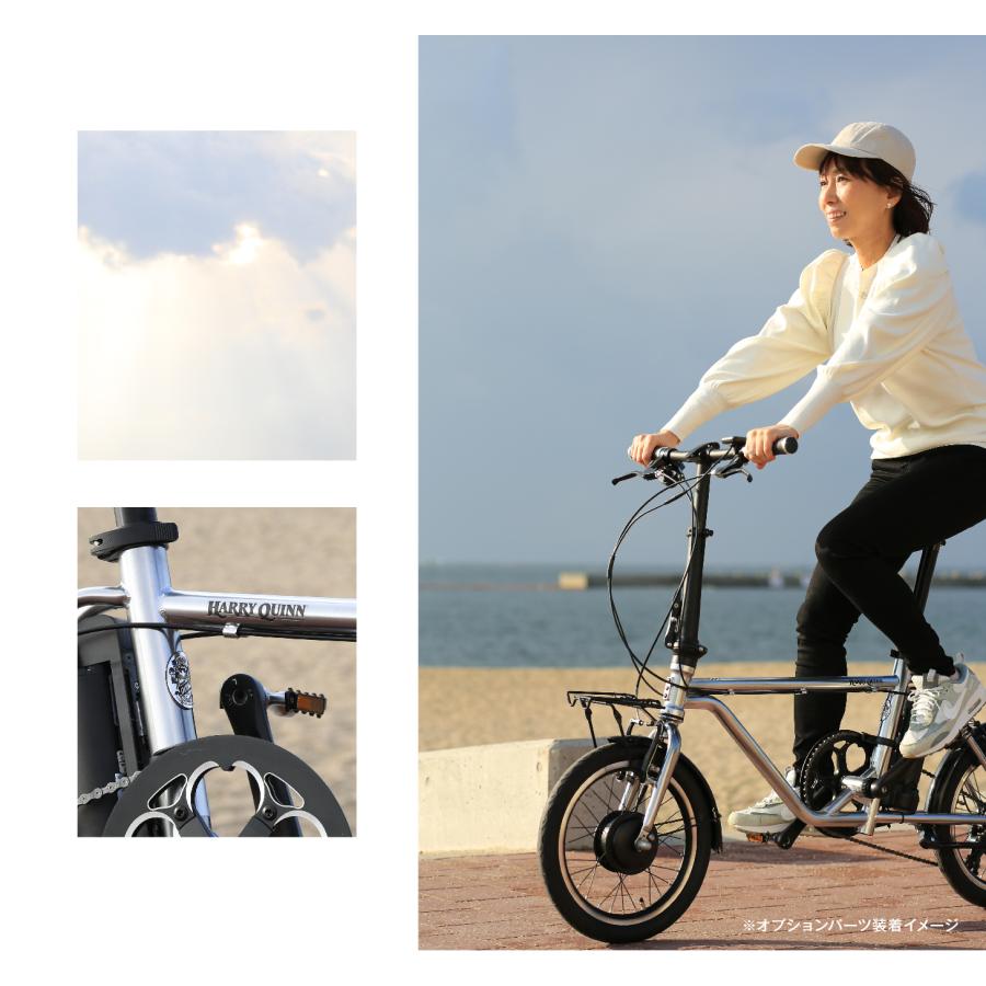 HARRY QUINN Liverpool163E 16インチ ミニベロ電動アシスト自転車 セミ