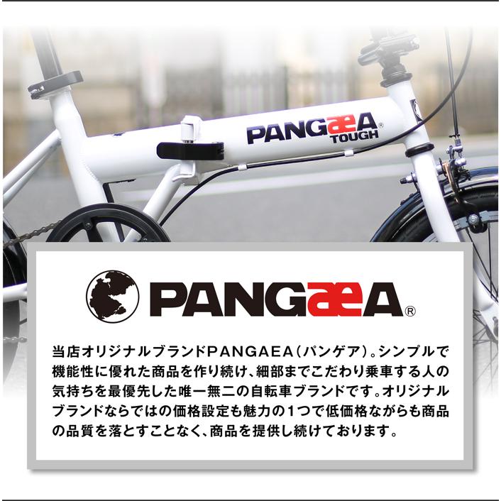 ノーパンク 折りたたみ自転車 前後泥除け標準装備 PANGAEA(パンゲア) FDB160-NP 16インチ｜ibf-shop｜04