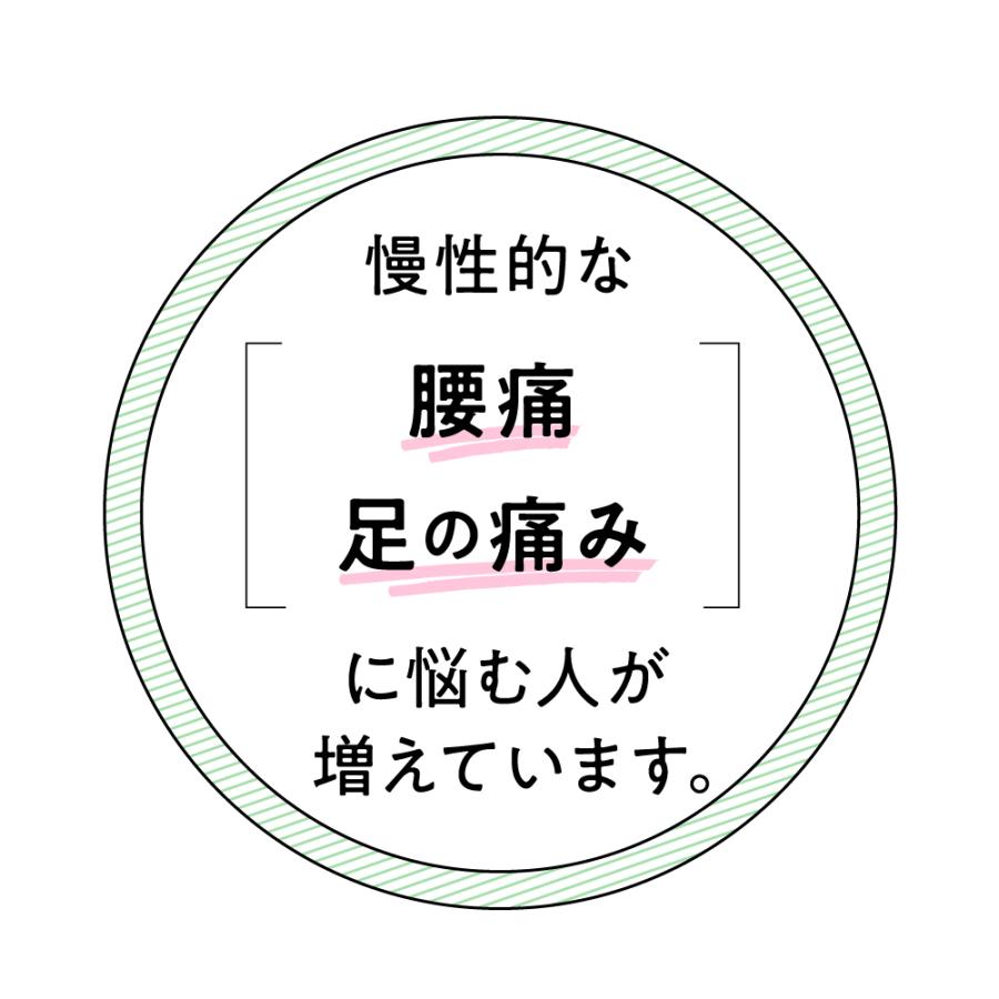 パンプス ローヒール 骨盤矯正 痛くない 腰痛対策 ブラック 黒 オフィス 結婚式 脱げない ダイエット 健康 骨盤 ほぐし 整体バレエシューズ Az 609 No 1 枕と快眠研究所 通販 Yahoo ショッピング