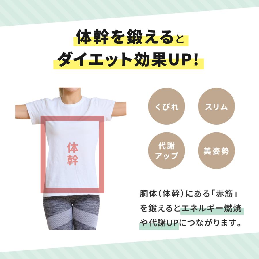 gymterior（ジムテリア） バランスクッション バランスディスク 体幹