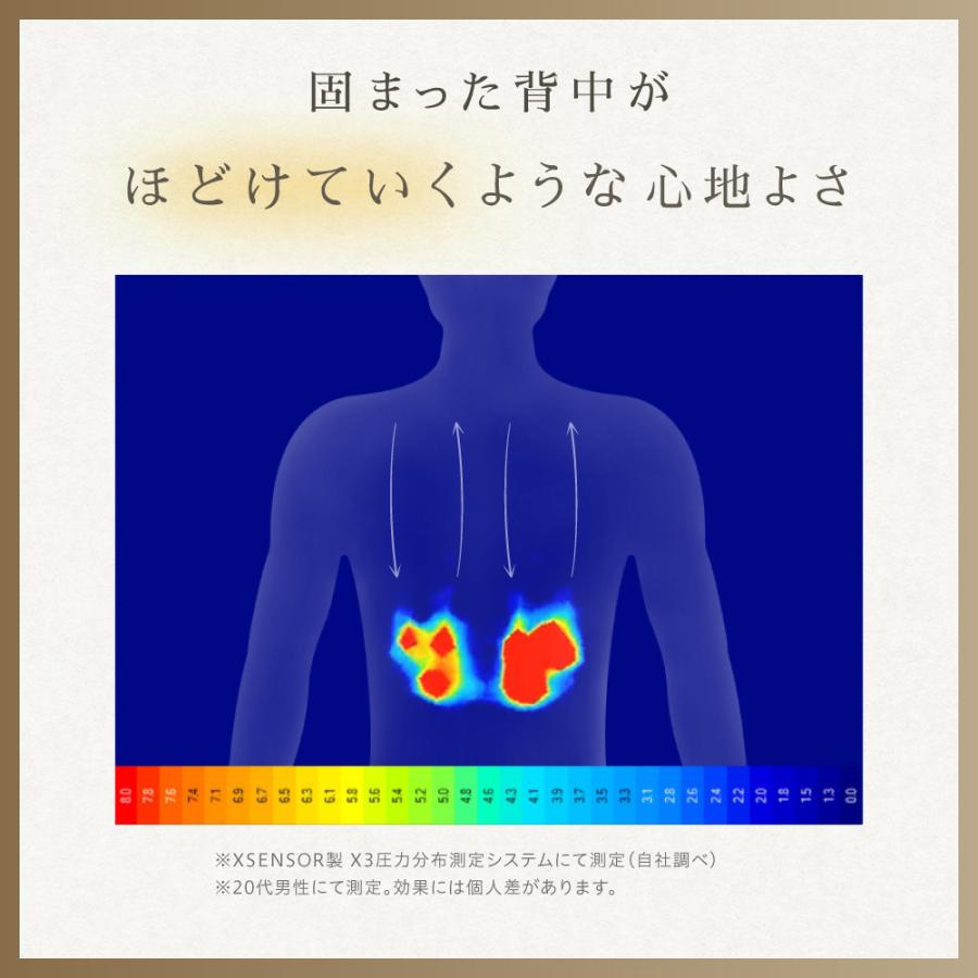 揉み療治座蒲団 揉み療治器 揉み療治機 コードレス 揉み療治 腰 後ろ側 肩 肩こり 取り止めるグッズ hoguterior ホグテリア hoguwall ホグウォール