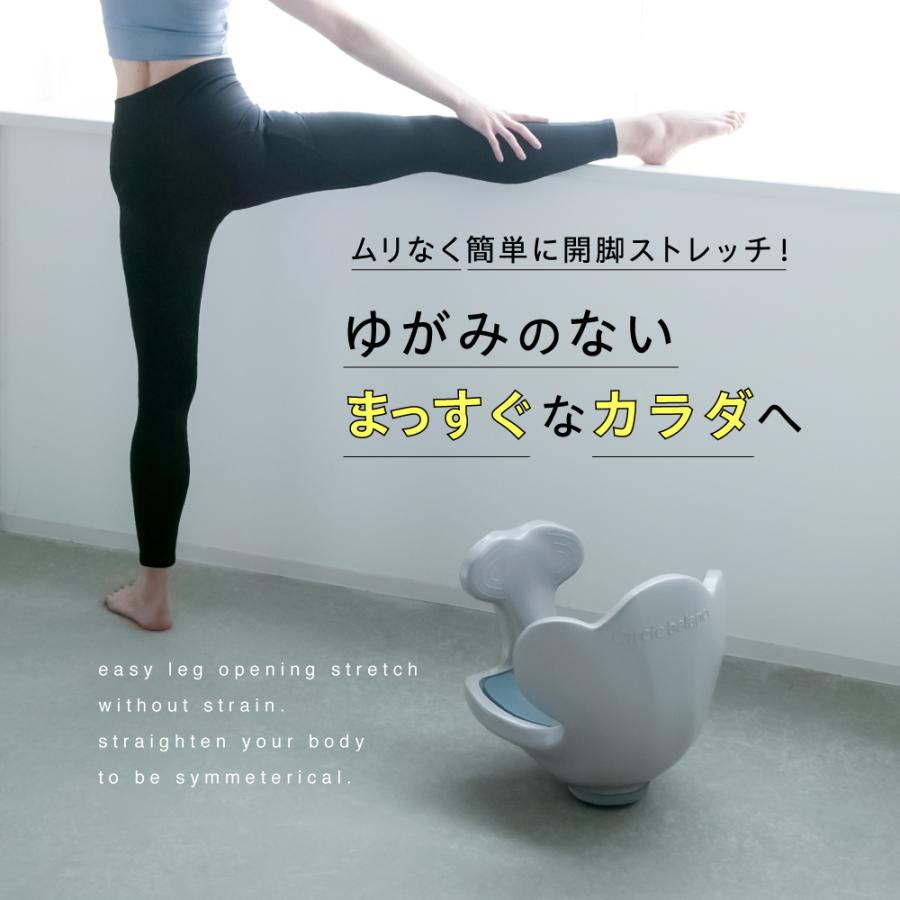 骨盤ケア ストレッチ 美姿勢 柔軟 運動 スタイルアップ 体幹 母 骨盤ケア ストレッチ 美姿勢 柔軟 運動 スタイルアップ 体幹 母