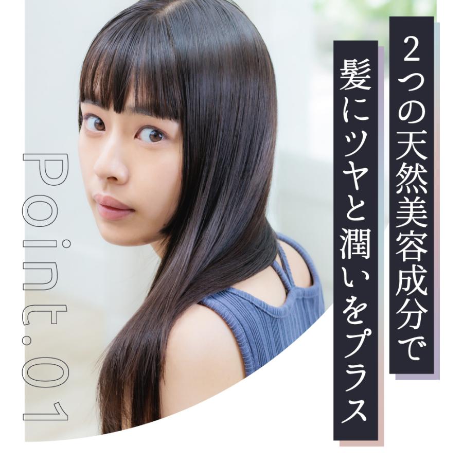 strainia（ストレーニア） シルクケアブラシ ヘアブラシ 高品質豚毛