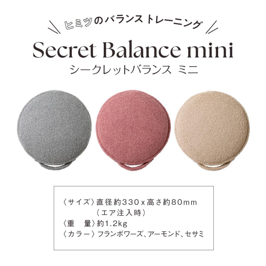gymterior バランスクッション バランスディスク JOURNAL gymterior バランスクッション バランスディスク JOURNAL