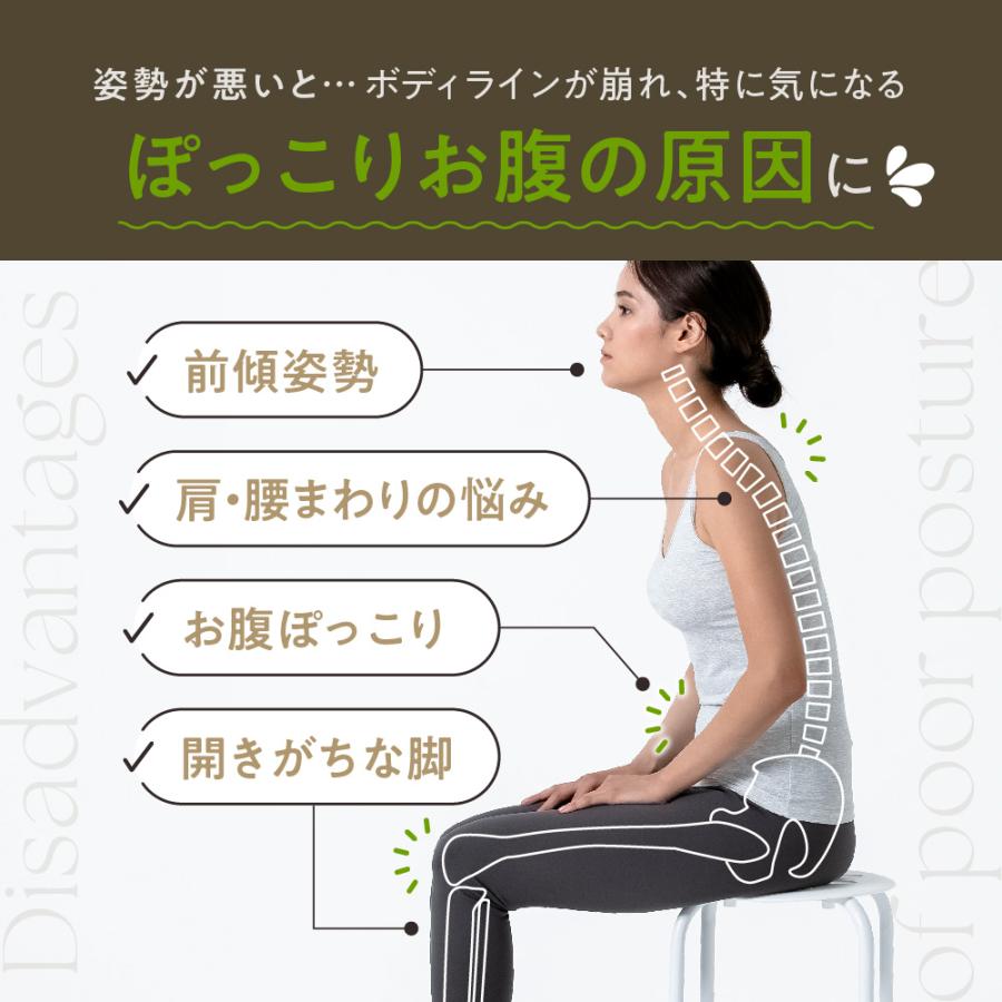 gymterior バランスクッション バランスディスク JOURNAL gymterior バランスクッション バランスディスク JOURNAL