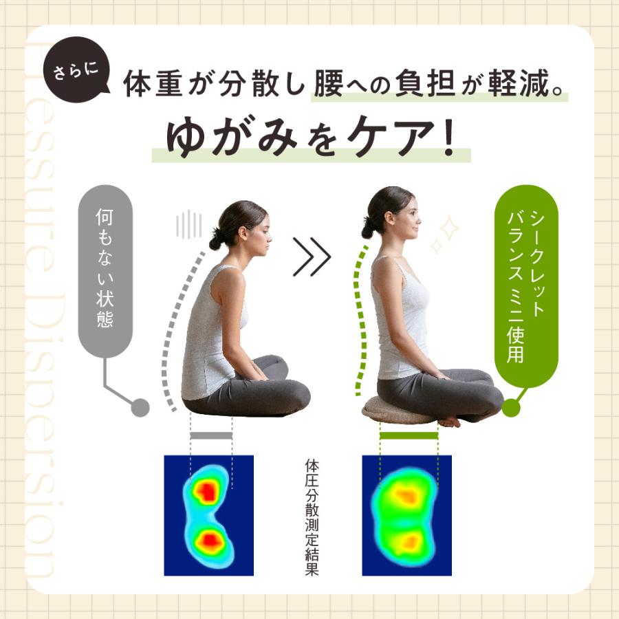 gymterior バランスクッション バランスディスク JOURNAL gymterior バランスクッション バランスディスク JOURNAL