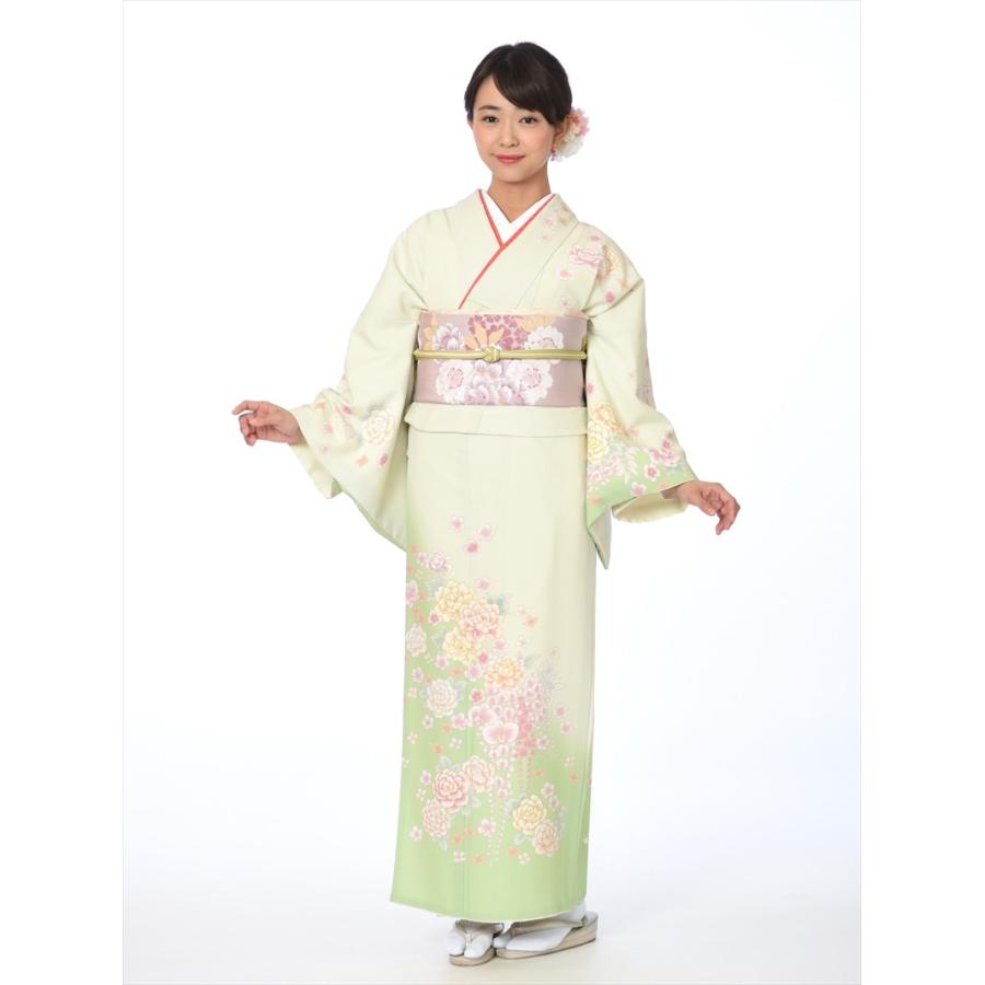 最適な価格 ジャパンスタイル 訪問着 レンタルフルセット8ad49 レンタル訪問着 Japanstyle おしゃれ 七五三 お宮参り 入学式 結婚式 若草色 胡蝶蘭 桜 牡丹 149cm 167cm 8ad0049 宅配レンタル衣裳アイビス 通販 Yahoo ショッピング 売り切れ必至 Www