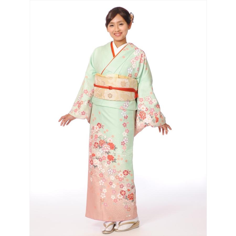 短い訪問着 賃借フルセット8AD157/賃借短い訪問着 若向き 合繊プレタ 七五三 お宮参り はいり込む式 御芽出度 緑であること 枝垂桜/149珊〜168珊/足袋差し上げ物 爆買 着物、浴衣-レンタル-レディースファッション
