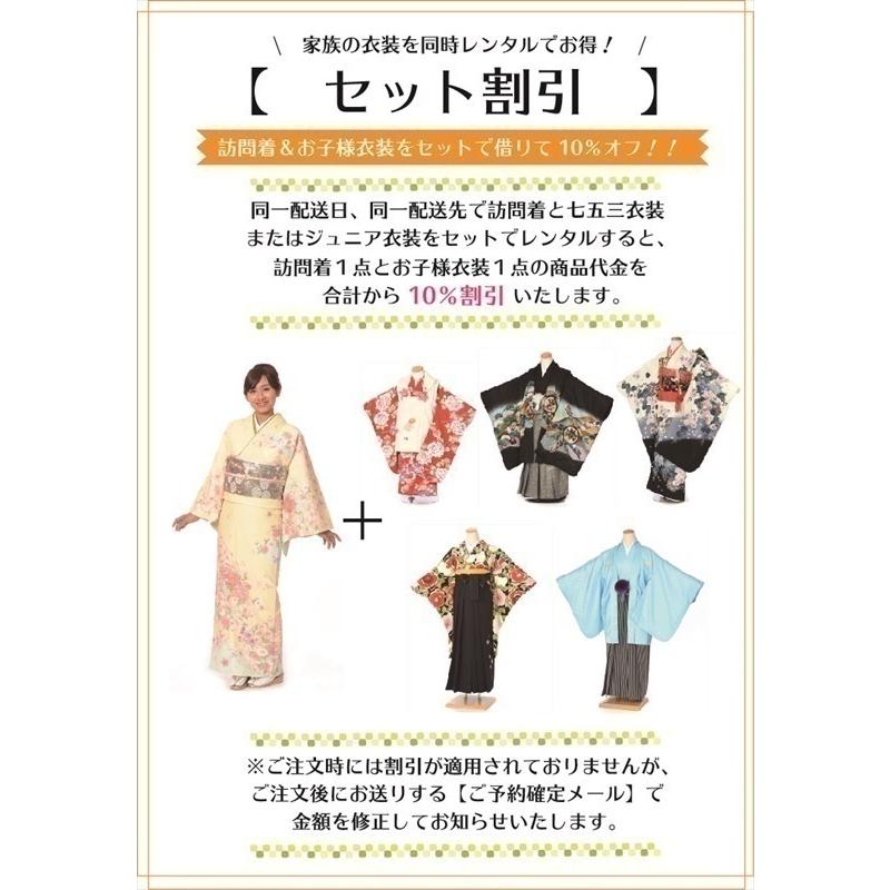 訪問着 レンタル フルセット AD577 レンタル訪問着 着物レンタル