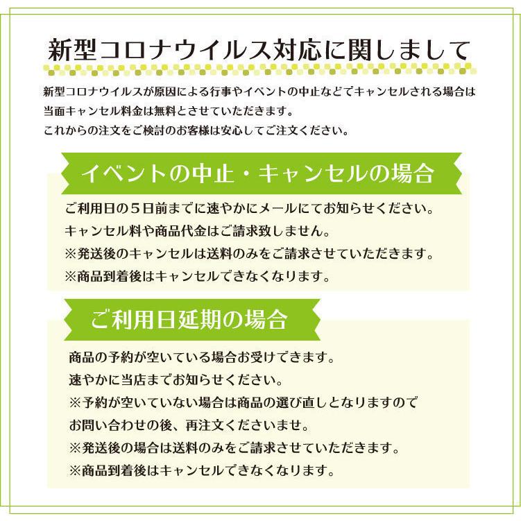 七五三レンタル 女児被布セットAP3098 女の子七五三《レンタル七五三》《753レンタル》〔被布セット 三才 ３歳 ３才 女児 貸衣装 三歳女の子 往復送料無料｜ibis｜08