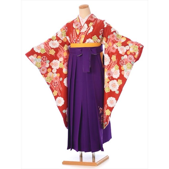 キャサリンコテージ簡単袴セット【いにしえ華車藤✕紺袴】他 キャサリンコテージ簡単袴セット【いにしえ華車藤✕紺袴】他