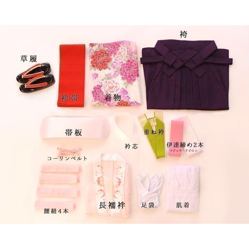 先生向き レンタル 袴 セット(DK164)正絹色無地 大人 女 教員 担任 卒