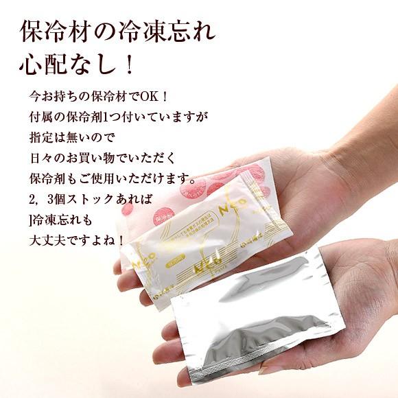 弁当箱 サブヒロモリ デリカタス 保冷剤付タイトランチ１段 1段 弁当箱 お弁当箱 レディース 日本製 おしゃれ 一段 お弁当箱 ランチボックス Sab 1704 アイビープラン 通販 Yahoo ショッピング